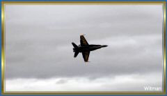 BlueAngel31018 (147).jpg